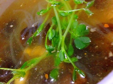 こりこり木耳と粒コーンのベトナム風春雨スープ
